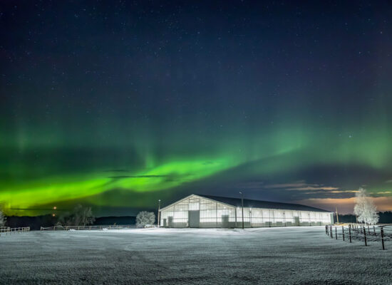 Northern light and Solljus LED